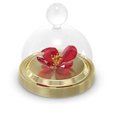 Garden Tales Red Poppy Bell Jar, Small - Swarovski, 5646022